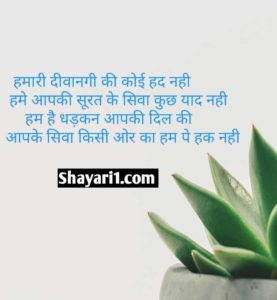 mohabbat shayari 2 lines