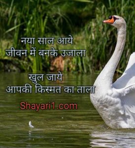 naye saal par shayari 