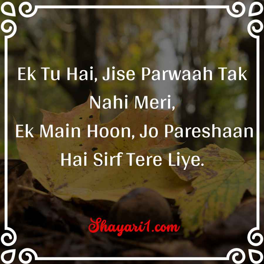 impress shayari in hindi

