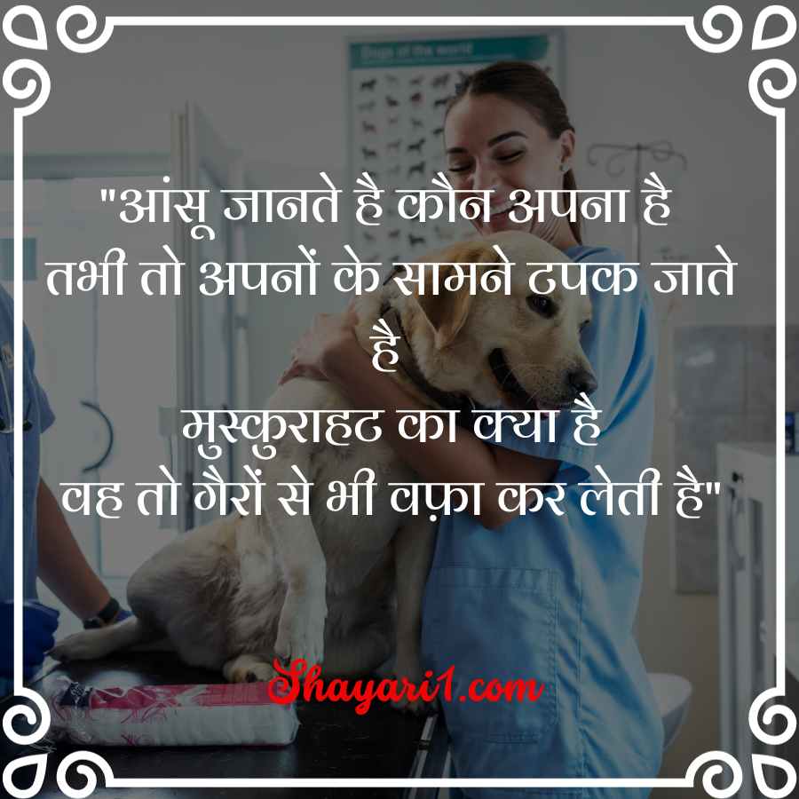 life line shayari image

