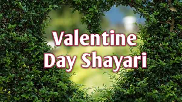 Valentine day shayari